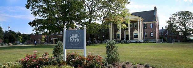 Cats Academy Boston