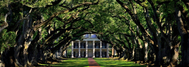 Louisiana State University