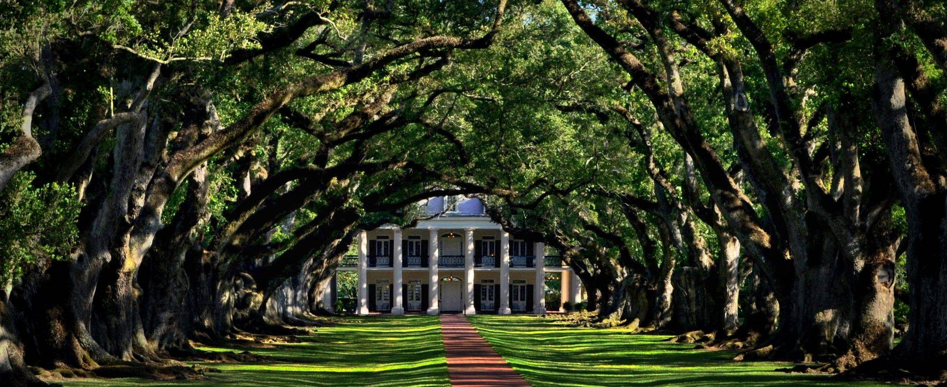 Louisiana State University