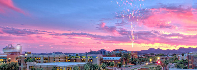 University Of Arizona